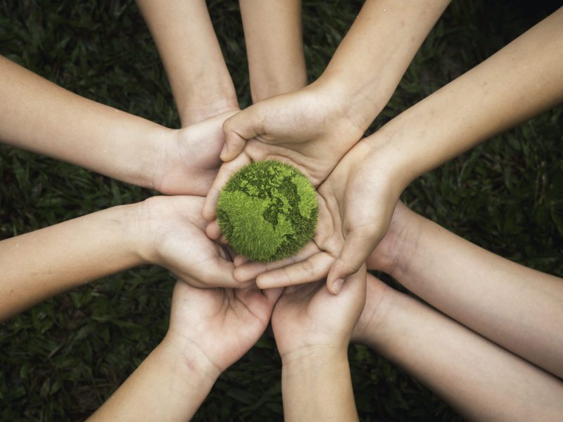 world environment day hand holding green globe on green background Environmental protection and sustainable environment Concept of cooperation to maintain a clean world world environment day hand holding green globe on green background Environmental protection and sustainable environment Concept of cooperation to maintain a clean world